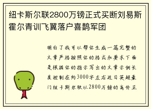 纽卡斯尔联2800万镑正式买断刘易斯霍尔青训飞翼落户喜鹊军团 纽卡斯尔联2800万镑正式买断刘易斯霍尔青训飞翼落户喜鹊军团